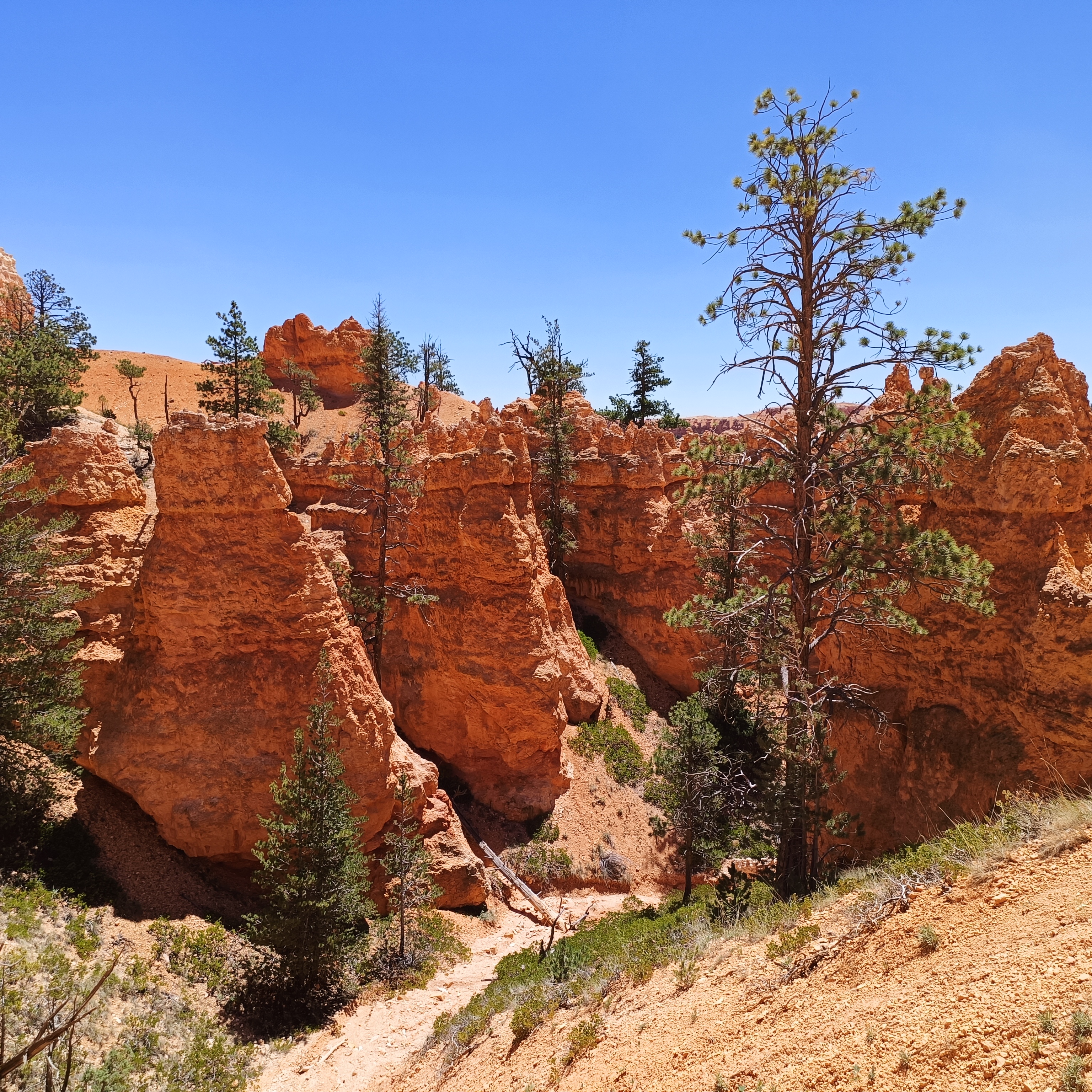 Brice Canyon